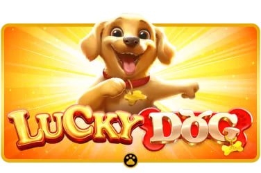 Live casino and slots available on bet games for Filipino players